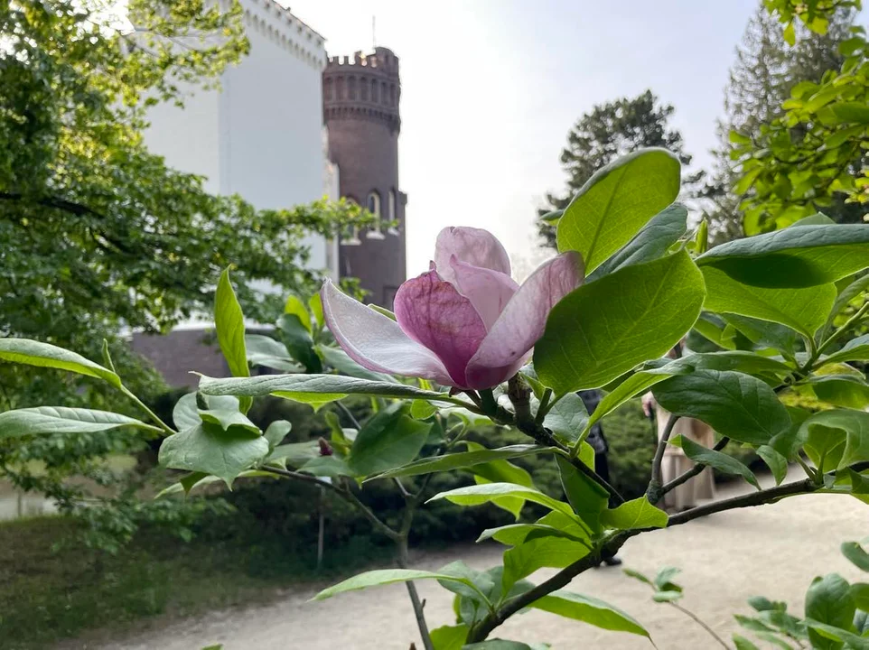 Arboretum Kórnickie