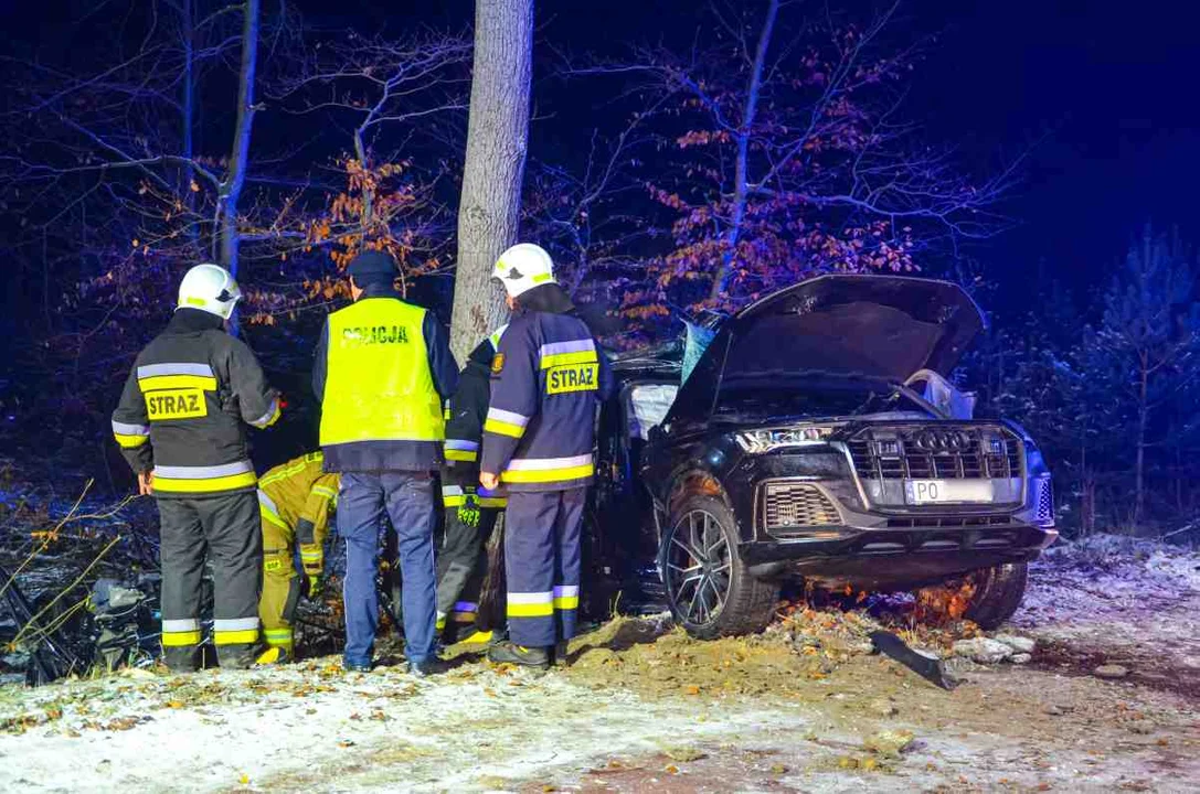 Audi uderzyło w drzewo na trasie Wilkowyja - Jarocin [ZDJĘCIA] - Zdjęcie główne