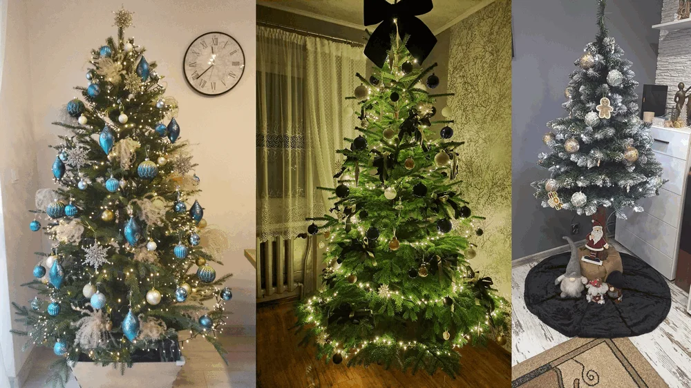 Choinki 2025 czytelników portalu rawicz24.pl