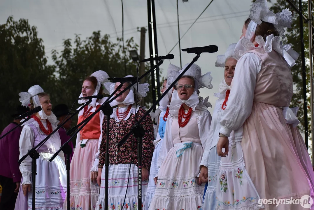XIII Festiwal Tradycji i Folkloru w Domachowie 2025