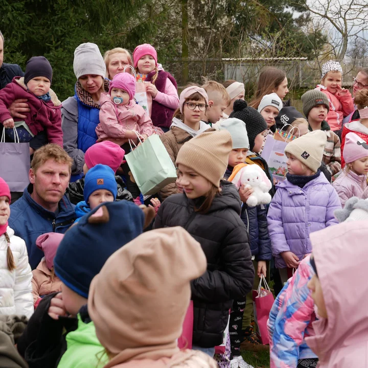 Zajączek w Kobylinie