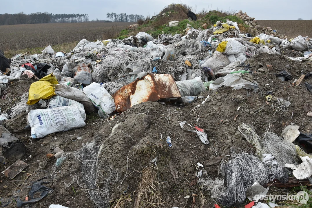 Ogromna hałda śmieci na polu w Żytowiecku