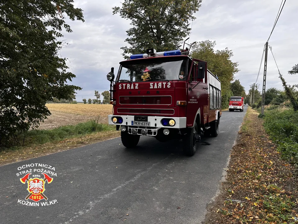 Borzęciczki - Mycielin. Wypadek motorowerzysty