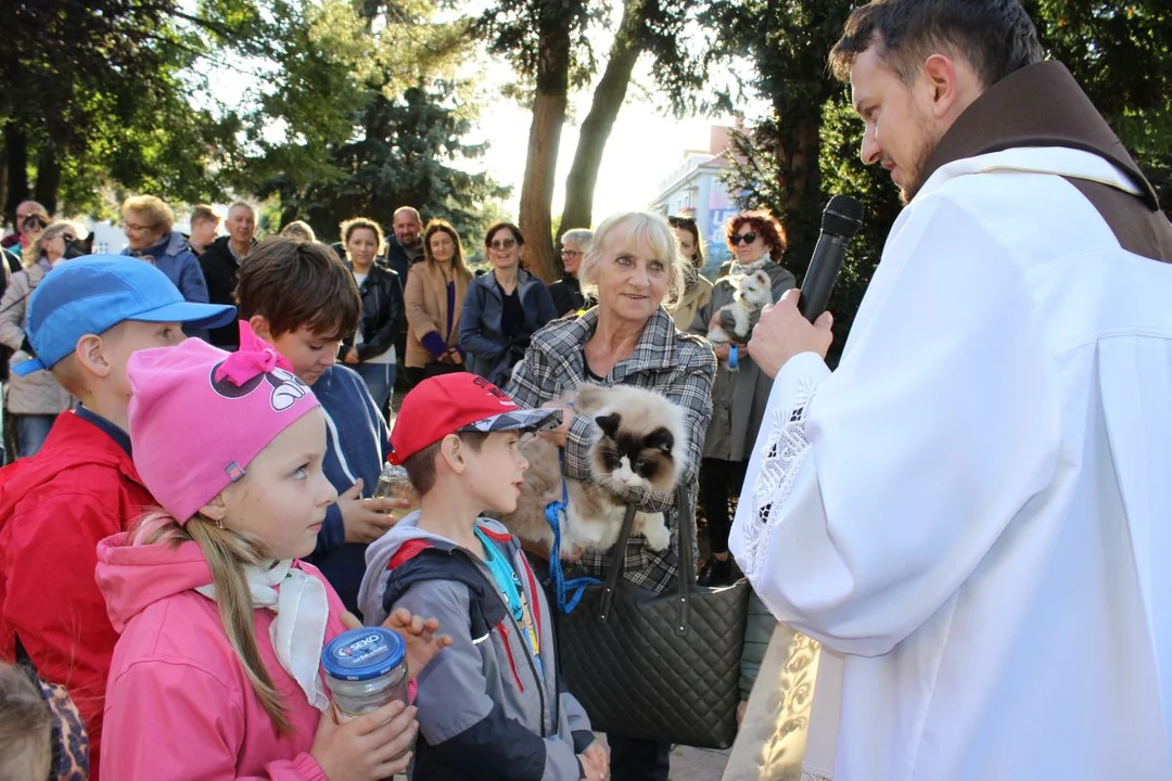 Błogosławieństwo zwierząt po raz drugi na na odpuście u franciszkanów w Jarocinie [ZDJĘCIA] - Zdjęcie główne