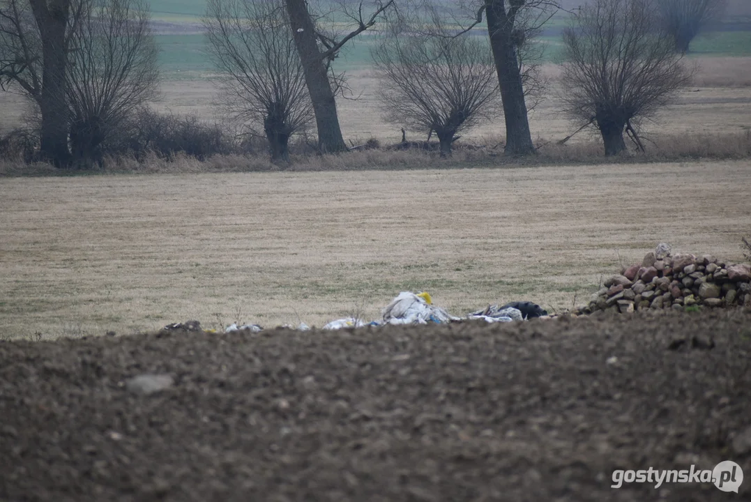 Ogromna hałda śmieci na polu w Żytowiecku