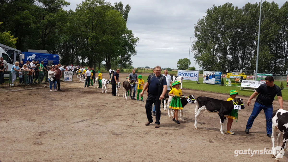 Jubileuszowa, bo XV Regionalna Wystawa Zwierząt Hodowlanych w Pudliszkach