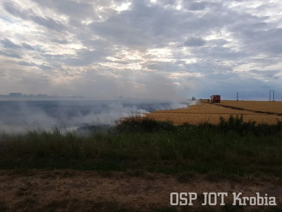 Pożar zboża w Poniecu i Kuczynie