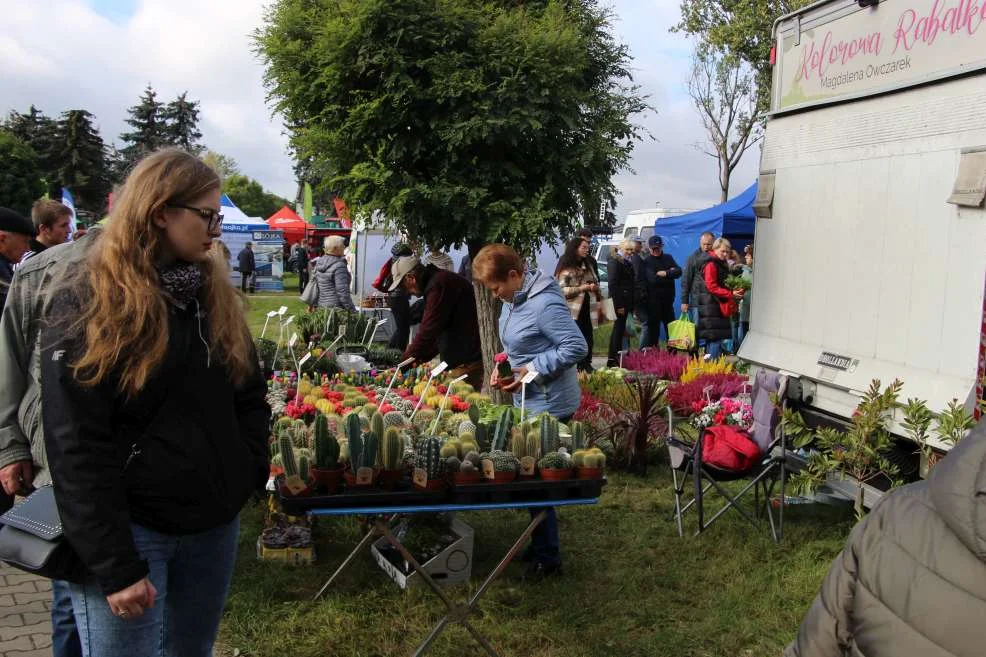 Wyróżnienie dla KGW w Witaszyczkach na targach w Marszewie