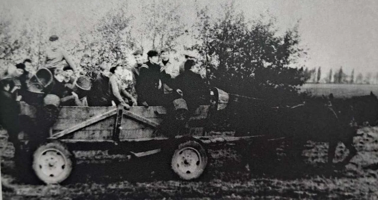 60 lat szkoły na Zielonej