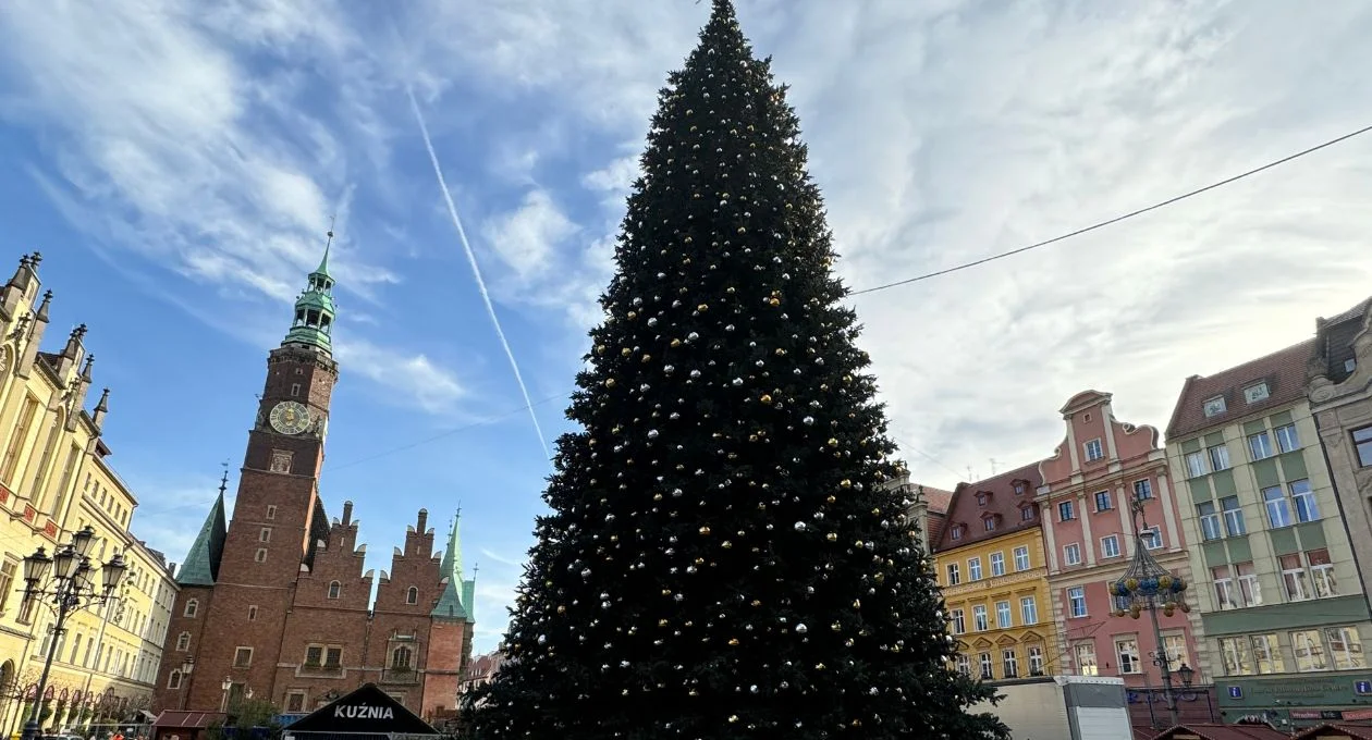 Jarmark Bożonarodzeniowy z Krasnalami we Wrocławiu