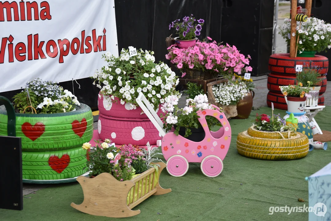 Laureaci konkursu "Kwietniczki z doniczki". Dni Borku 2023