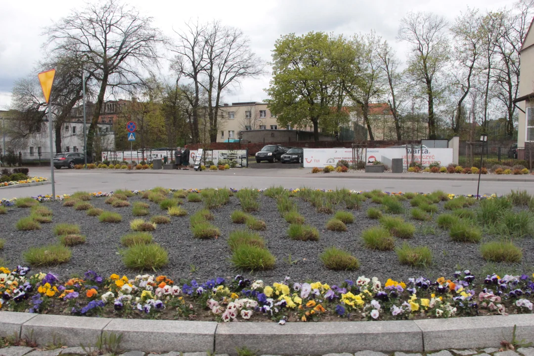 Przez lata była właścicielką Pleszewa. Czy Anna Tęczyńska zostanie uhonorowana skwerem swojego imienia? - Zdjęcie główne