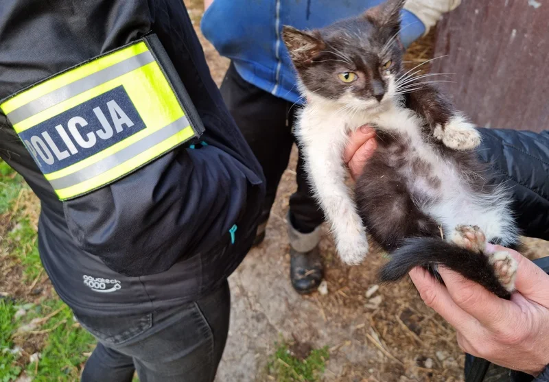 Właścicielowi grozi nawet 5 lat więzienia