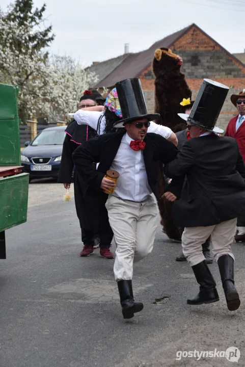 "Niedźwiedzie" wróciły do Zalesia - wesoły śmigus-dyngus