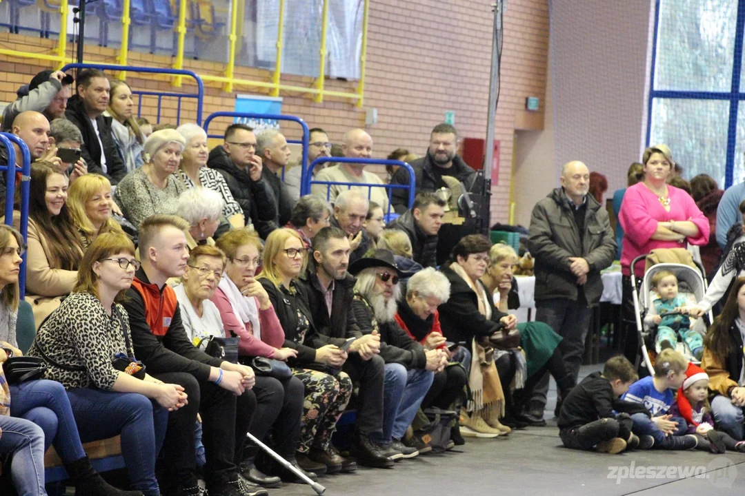 XVII Gołuchowski Jarmark Bożonarodzeniowy. Zobaczcie program imprezy - Zdjęcie główne