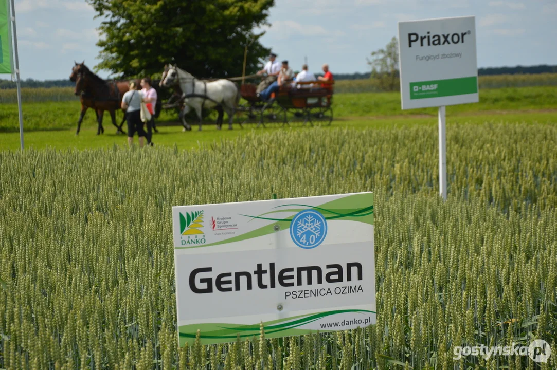 Dni Pola w Szelejewie 2025