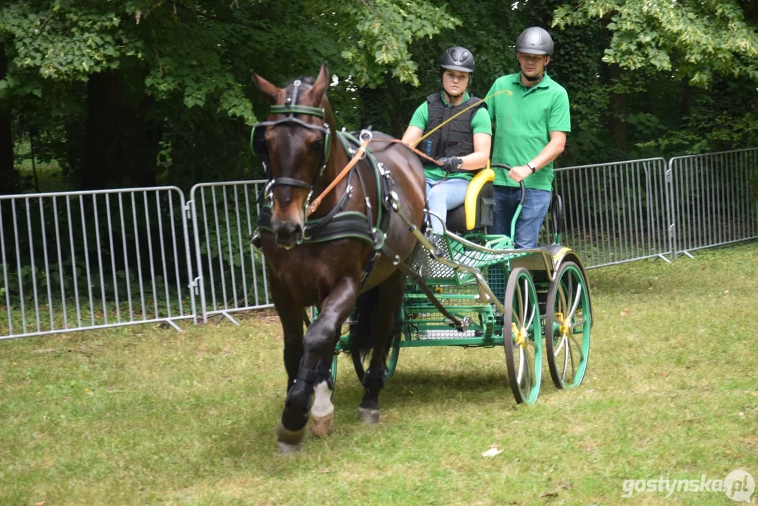 Rokosowo Horse Show 2024 - dzień pierwszy