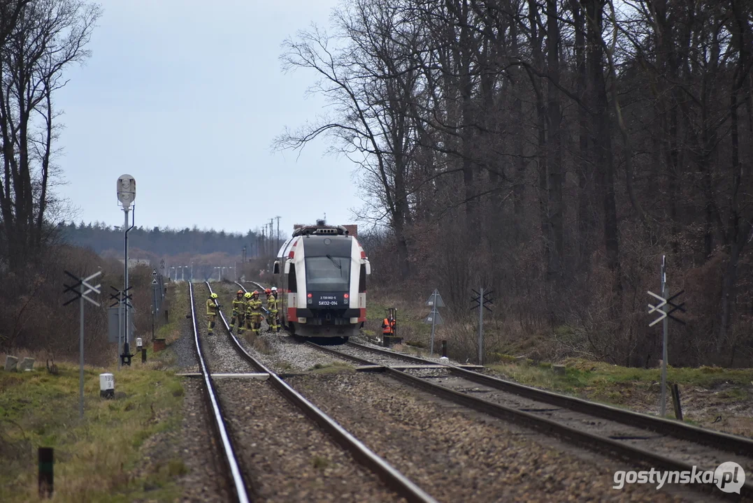 Zderzenie szynobusu relacji Ostrów Wlkp. - Leszno z drzewem