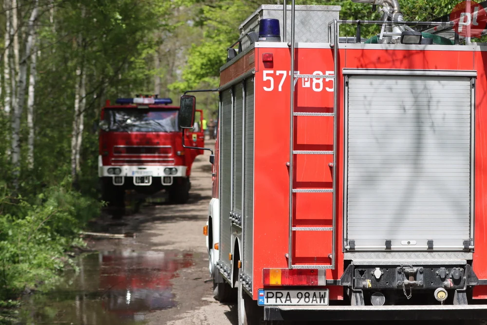 Pożar w lesie pomiędzy Zieloną Wsią a Dębnem Polskim