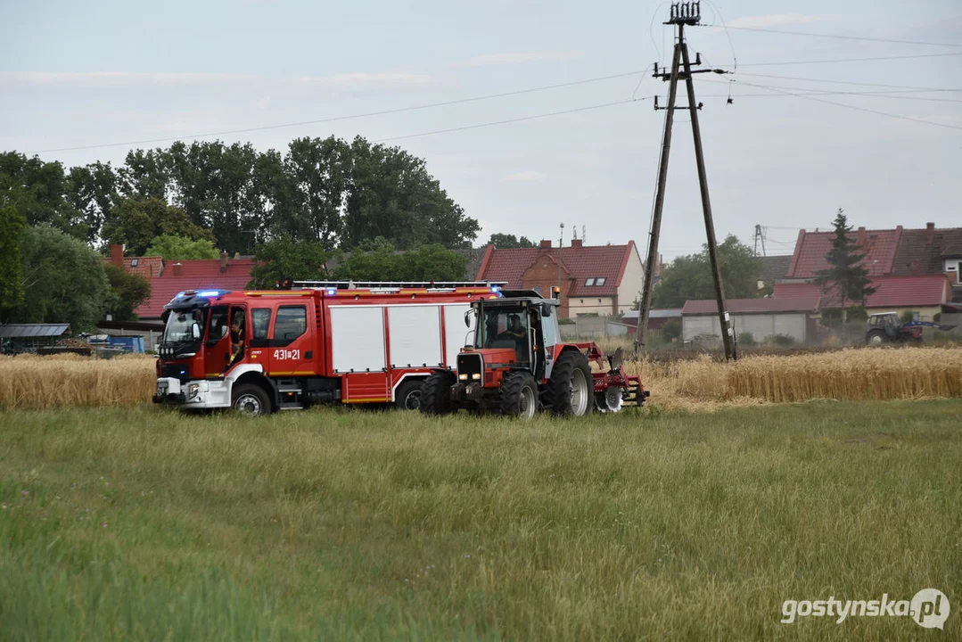 Pożar zboża w Poniecu i Kuczynie