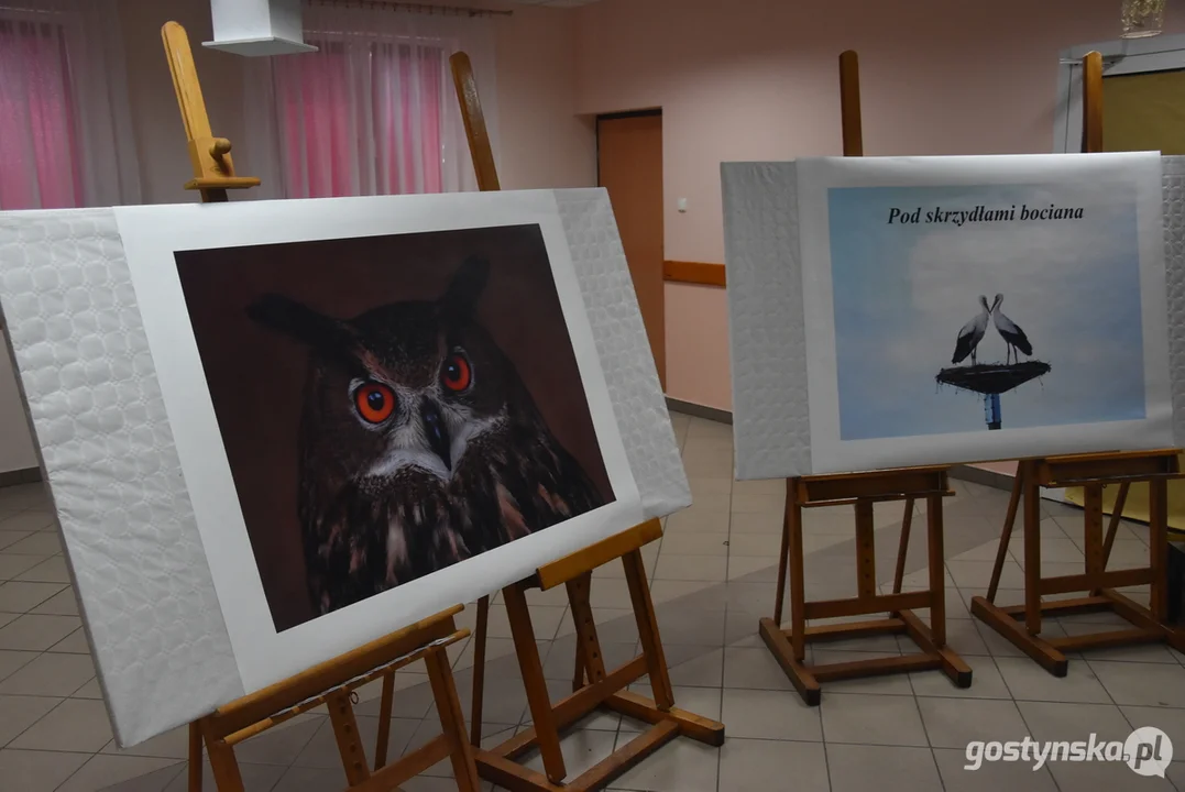 Festyn "Pod skrzydłami bociana" w Babkowicach