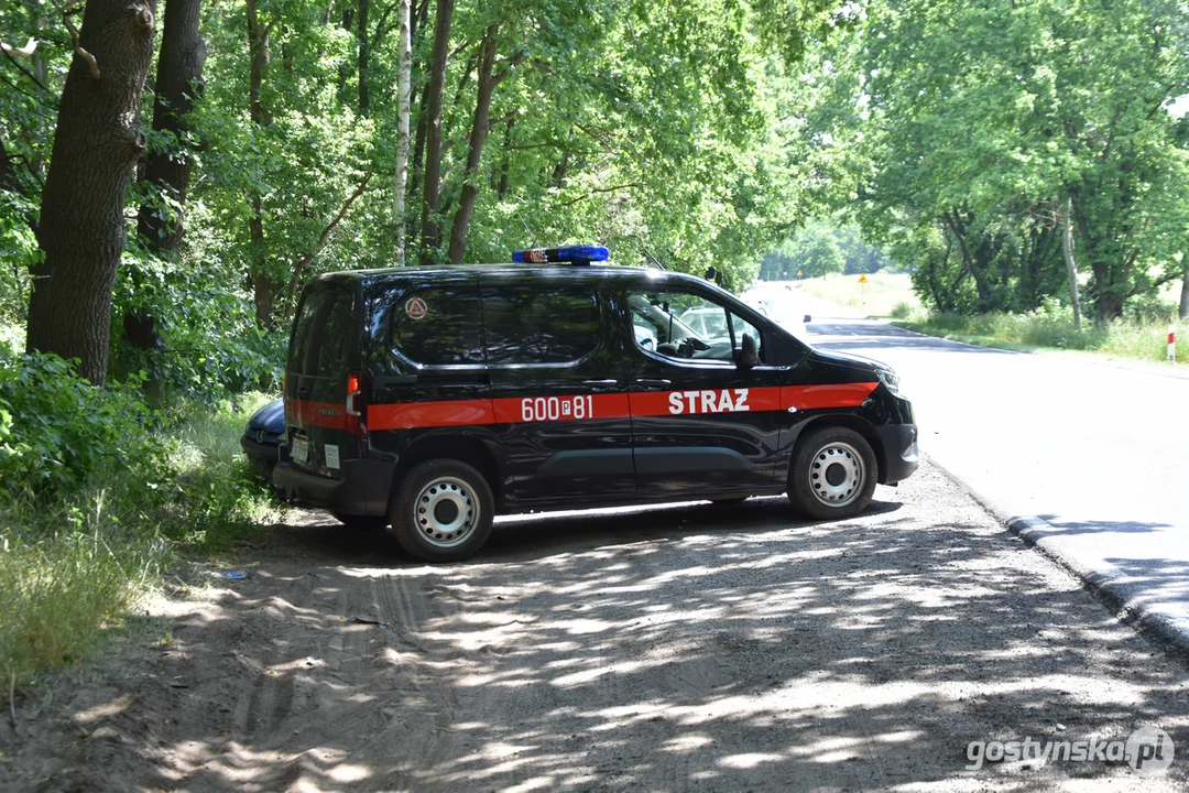 Pożar lasu na granicy powiatu gostyńskiego