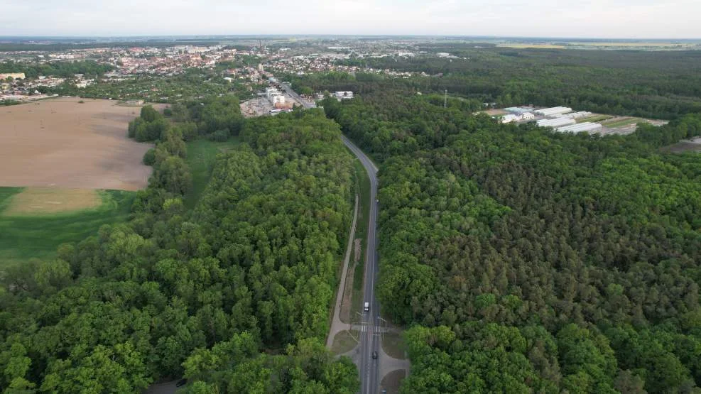 Kolejne potrącenie na przejściu dla pieszych przy ul. Poznańskiej w Jarocinie