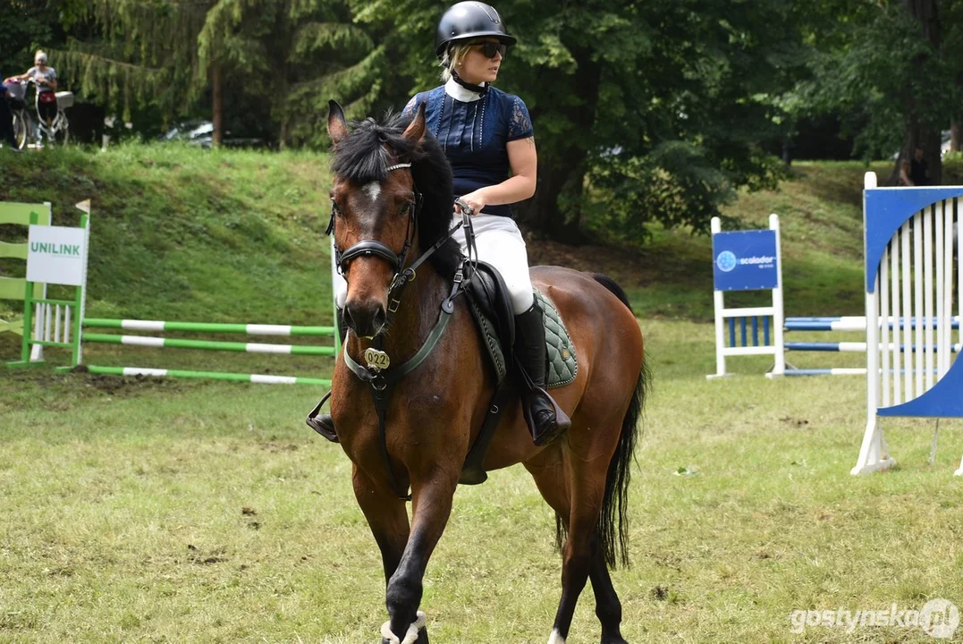 Rokosowo Horse Show - dzień drugi