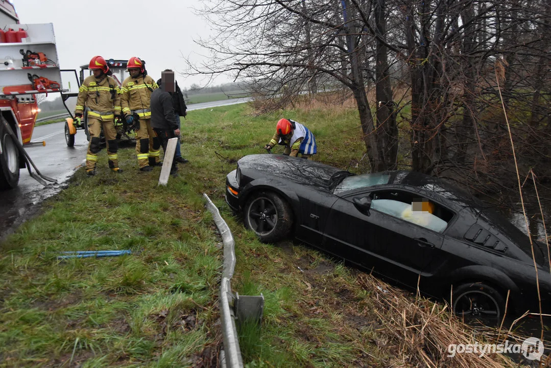 Mustang wpadł do stawu. Straż pożarna z Gostynia w akcji