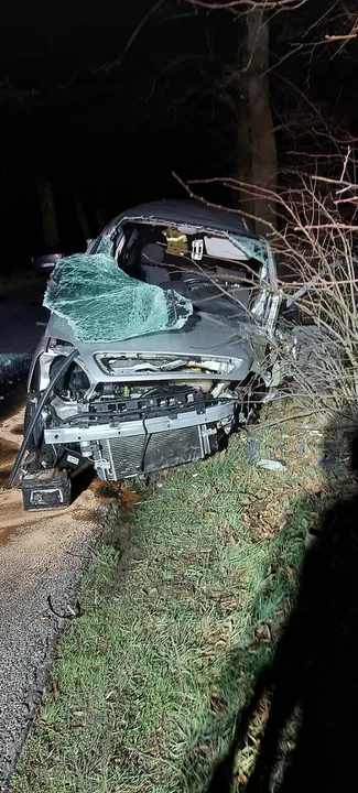 Auto na drodze powiatowej uderzyło w drzewo