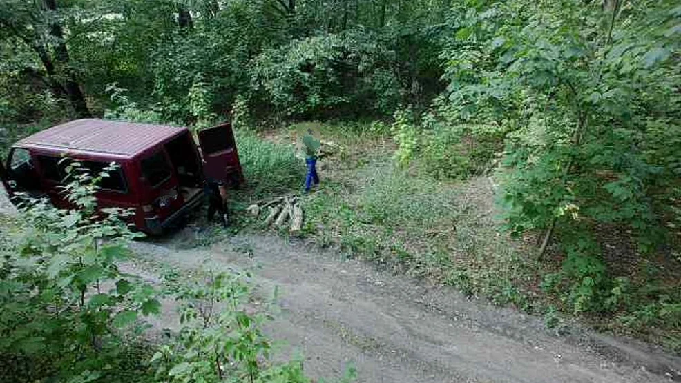 Chcieli ukraść drewno z lasu. Ich wizerunek i auto zarejestrowały kamery [ZDJĘCIA] - Zdjęcie główne