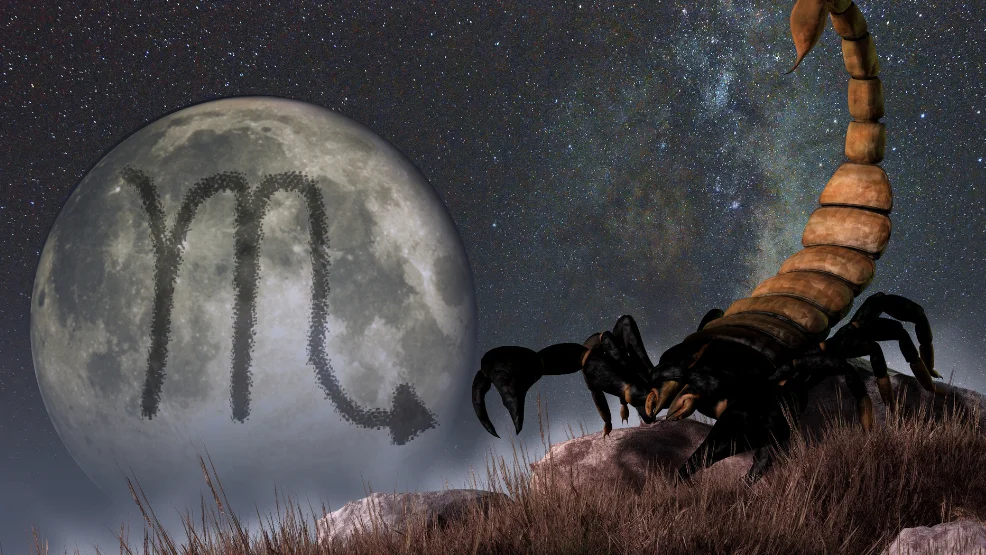 Skorpion -  horoskop od 1 do 7 sierpnia 2022