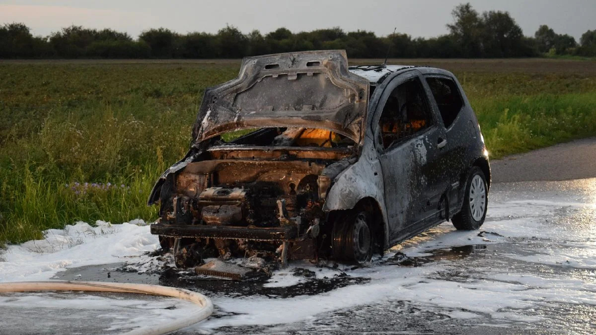 Citroen spłonął doszczętnie na wyjeździe z Krobi. Właścicielka zdołała uciec z palącego się auta - Zdjęcie główne