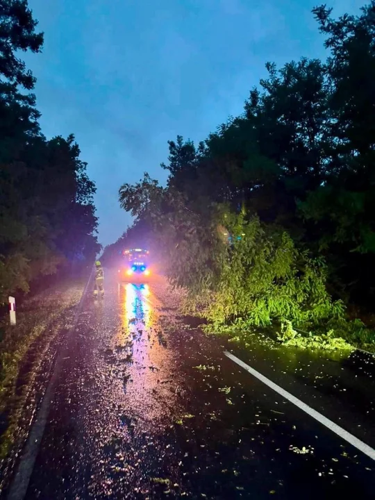 Ewakuacja harcerzyi usuwanie skutków nocnej nawałnicy