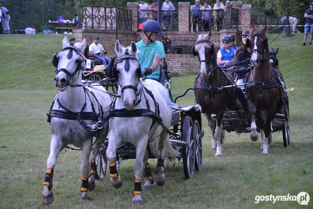 Rokosowo Horse Show 20224 - Konie i Powozy na Zamku Wielkopolskim w Rokosowie