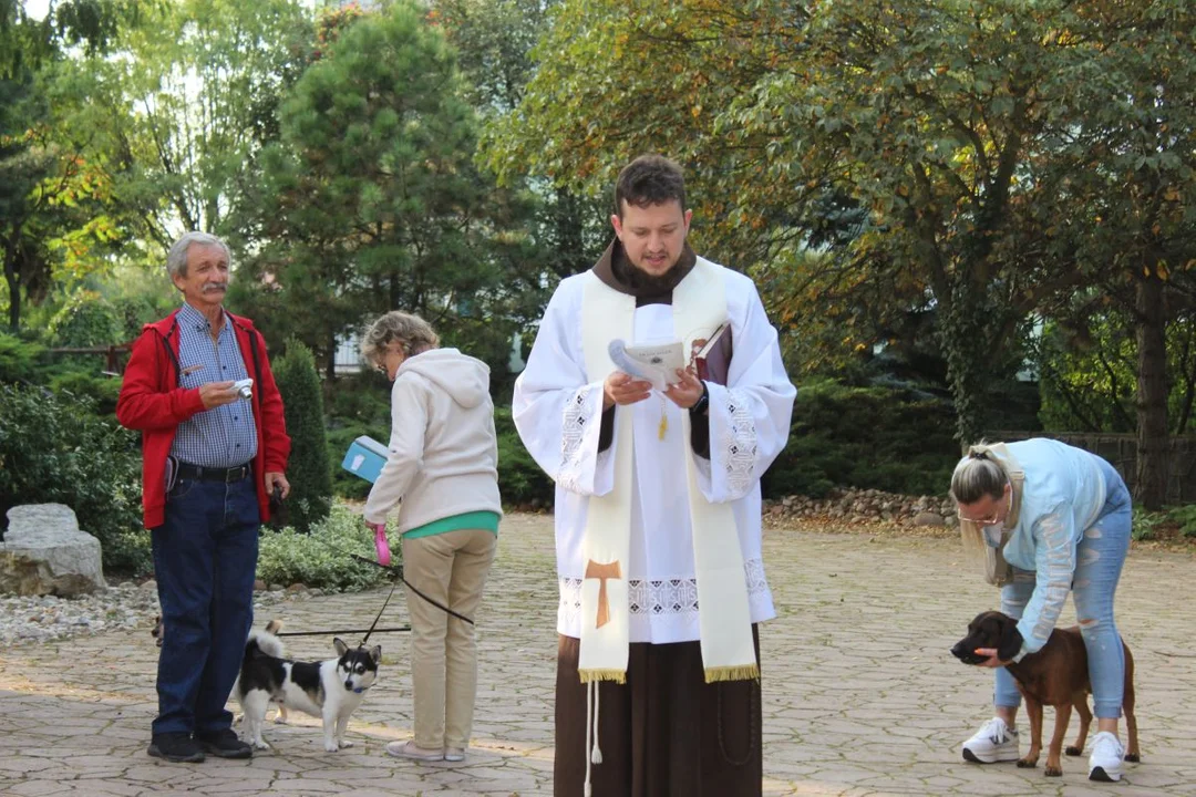 U franciszkanów w Jarocinie z okazji odpustu błogosławiono zwierzęta