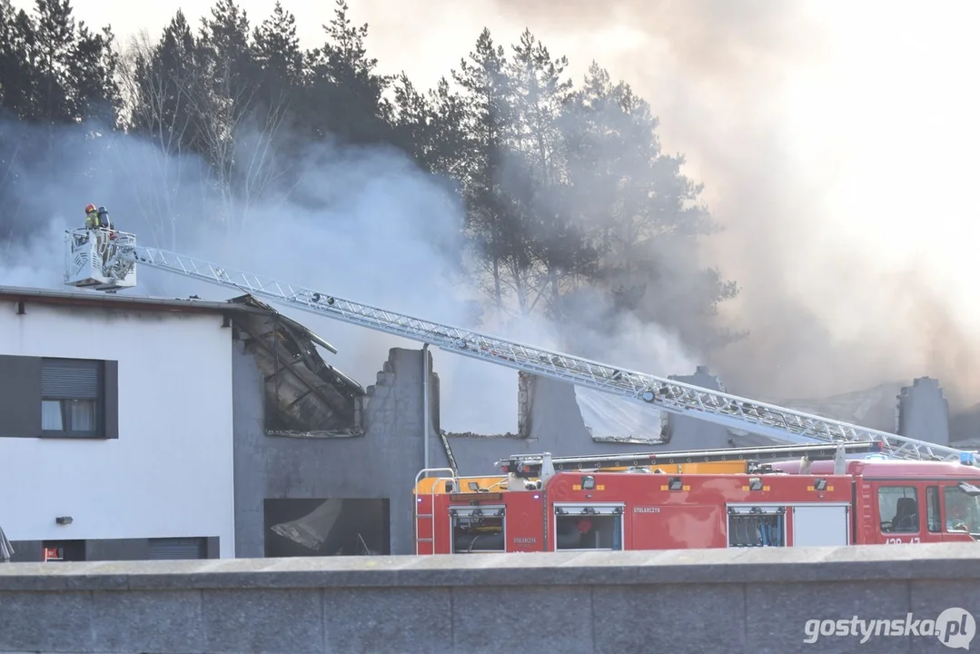 Pożar na stacji demontażu pojazdów w Śmiłowie