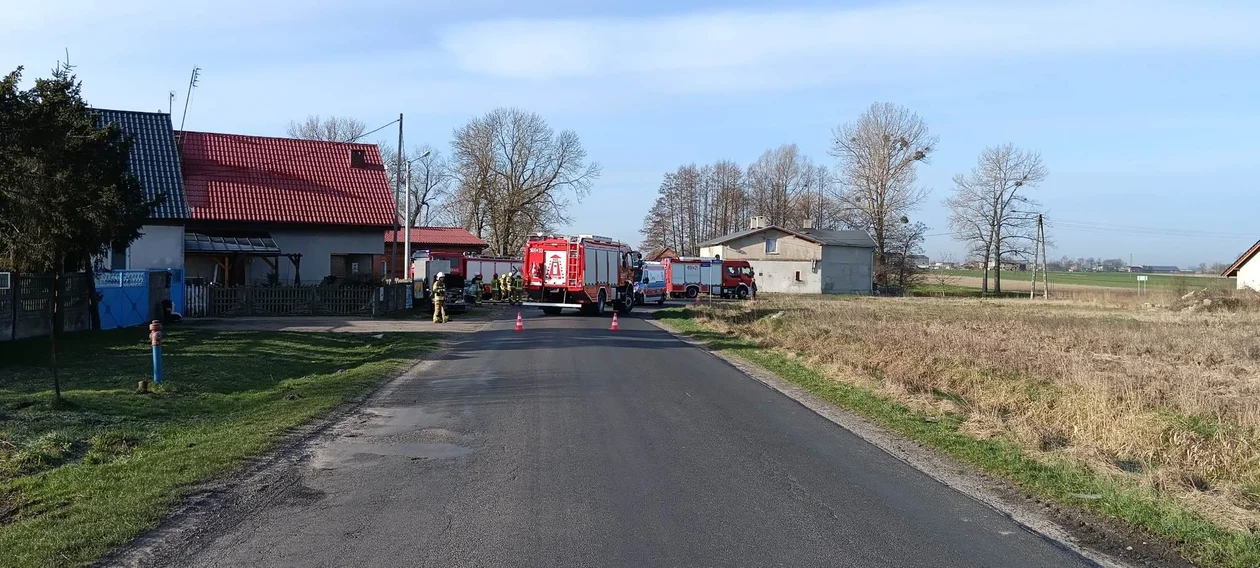 Wyki. Zderzenie dwóch samochodów