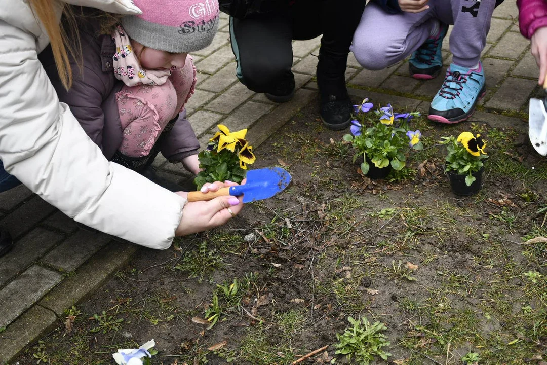 Dzień Wiosny w Szkole Podstawowej nr 3 w Gostyniu