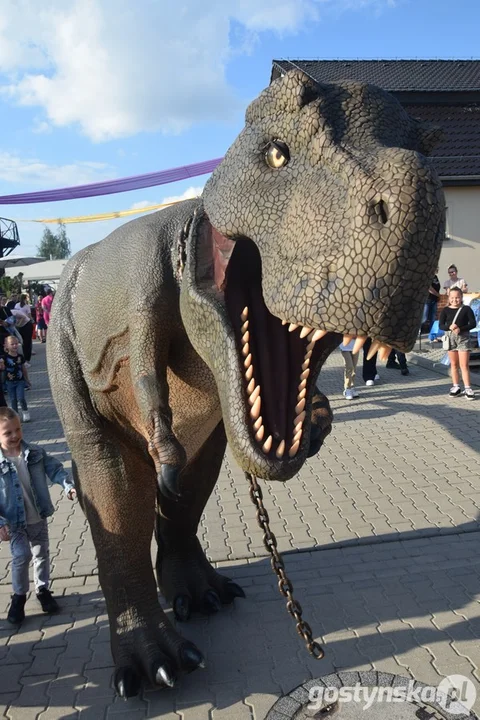 Festyn "Stara gazownia łączy pokolenia" 2025 w Krobi