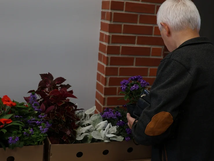 Plantcrossing w bibliotece w Pleszewie