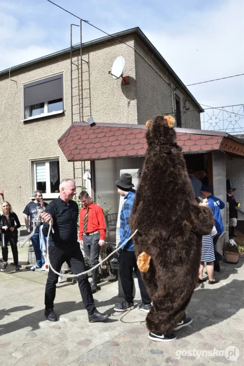 "Niedźwiedzie" wróciły do Zalesia - wesoły śmigus-dyngus