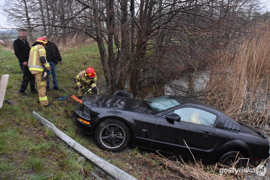 Mustang wpadł do stawu. Straż pożarna z Gostynia w akcji