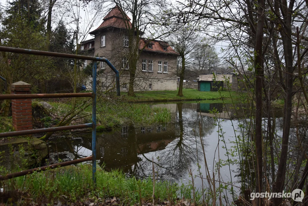 Gmina Gostyń planuje renowację stawów