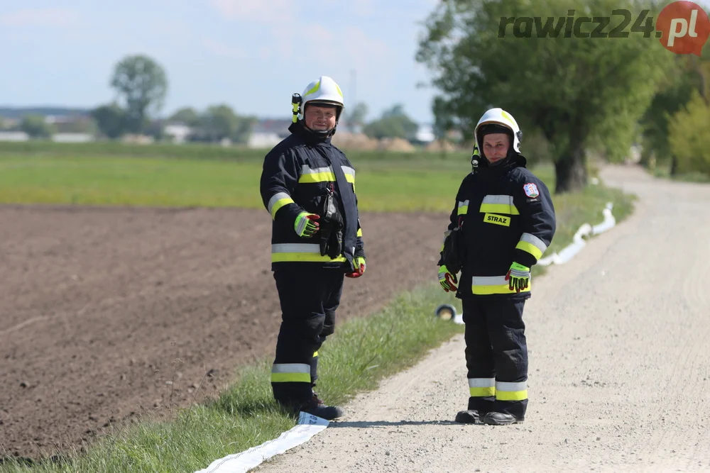 Pożar w lesie pomiędzy Zieloną Wsią a Dębnem Polskim