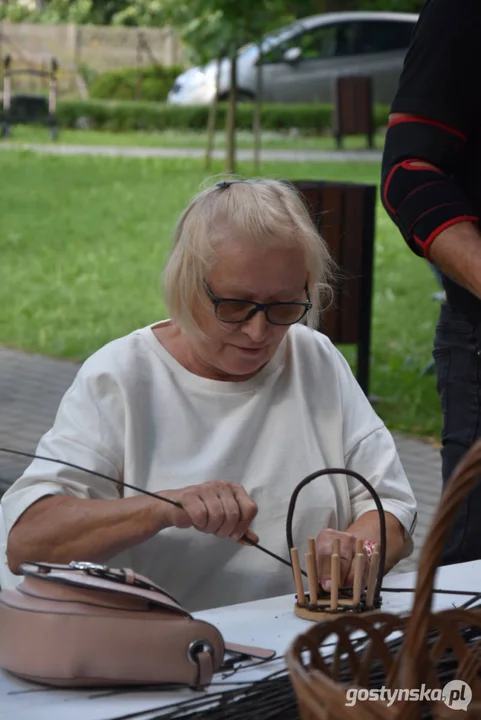 Fontanna pełna radości czyli rodzinny festyn w boreckim parku z okazji obchodów Dni Borku Wlkp.