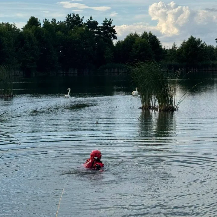 Nietypowa interwencja strażaków z Chocza. Pomocy potrzebował... łabędź