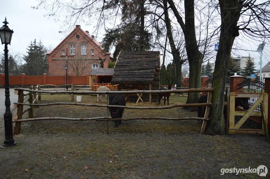 Żywa szopka bożonarodzeniowa w Nieparcie