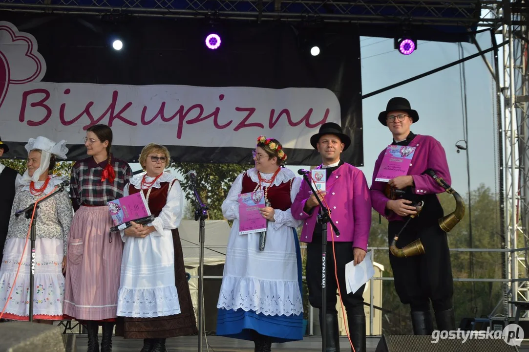 XII Festiwal Tradycji i Folkloru w Domachowie 2024