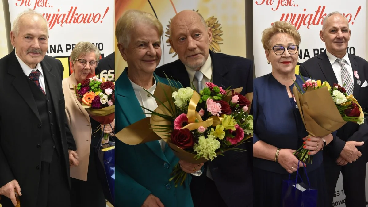 Złote Gody 2025. Kierownik USC rozpoczął jubileusze od słów przysięgi małżeńskiej - Zdjęcie główne